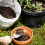 How to Fertilize a Home Garden Cheaply